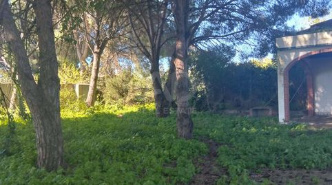 Foto 5 de Residencial en venda a Los Franceses – La Vega, Chiclana de la Frontera