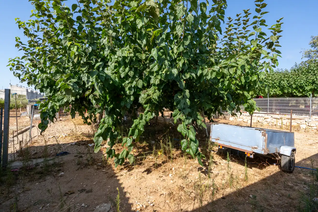 Terreno rustico in vendita a Camí de Codonyol 181, imagen 30
