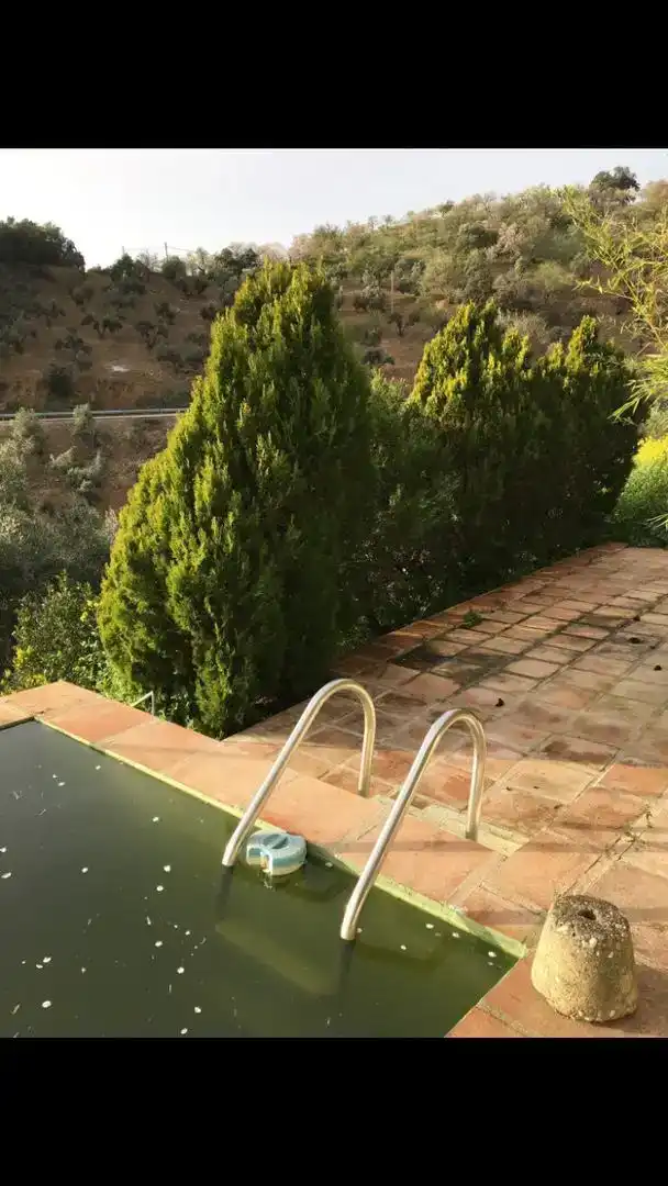 Piscina de Finca rústica en venda en Pozoblanco amb Jardí privat, Piscina i Balcó
