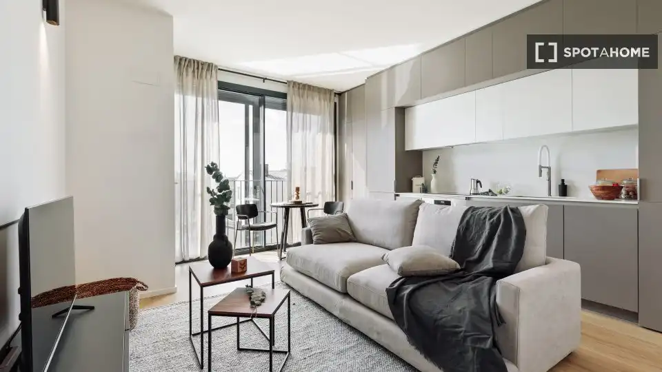 Living room of Flat for rent in Barcelona  with Air Conditioner, Heating and Furnished