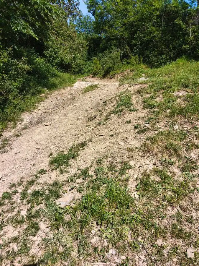 Finca rústica en venta en Puértolas