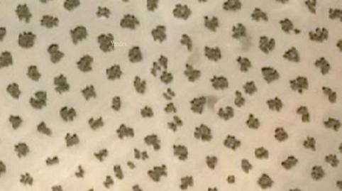 Photo 3 of Garage for sale in San Bartolomé - Millán de Priego,  Jaén Capital