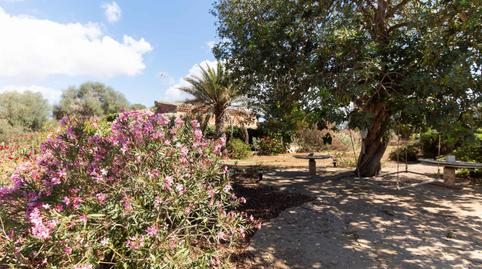 Photo 3 of Country house for sale in Carrer D'es Cós, Santanyí Poble, Illes Balears