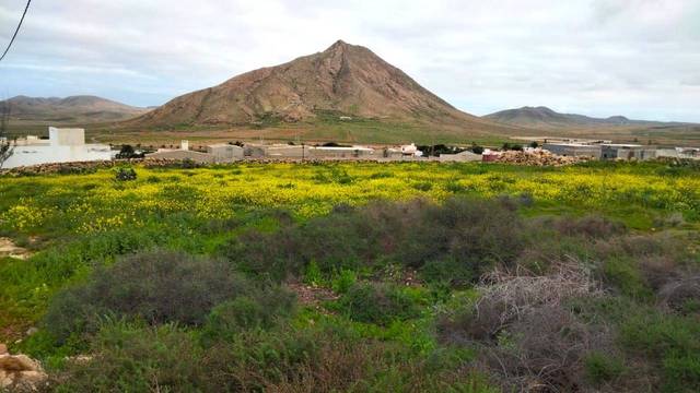 Terreno residencial en Venta en Calle de la Ladera en Tindaya
