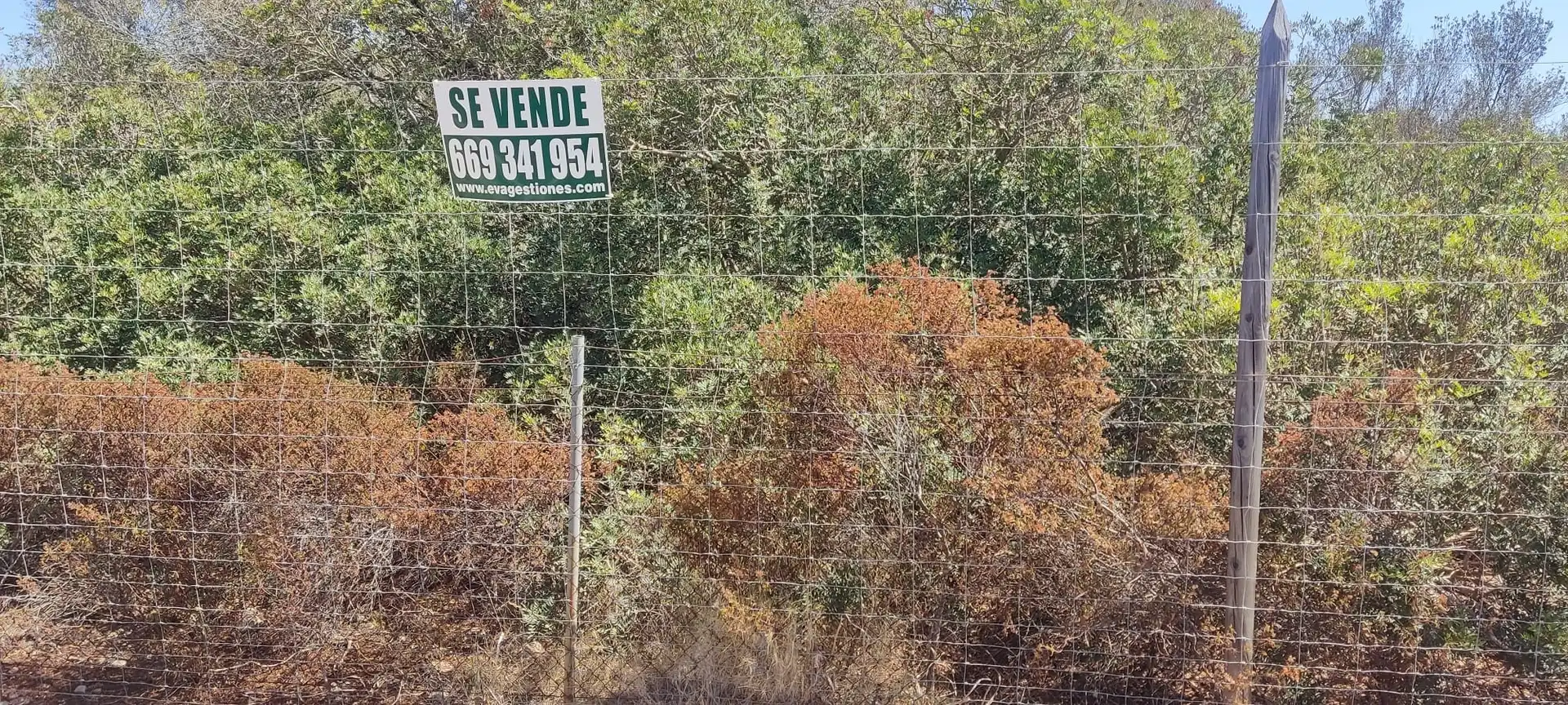 Terreno rustico in vendita a Ma-6014 Km 24, imagen 2