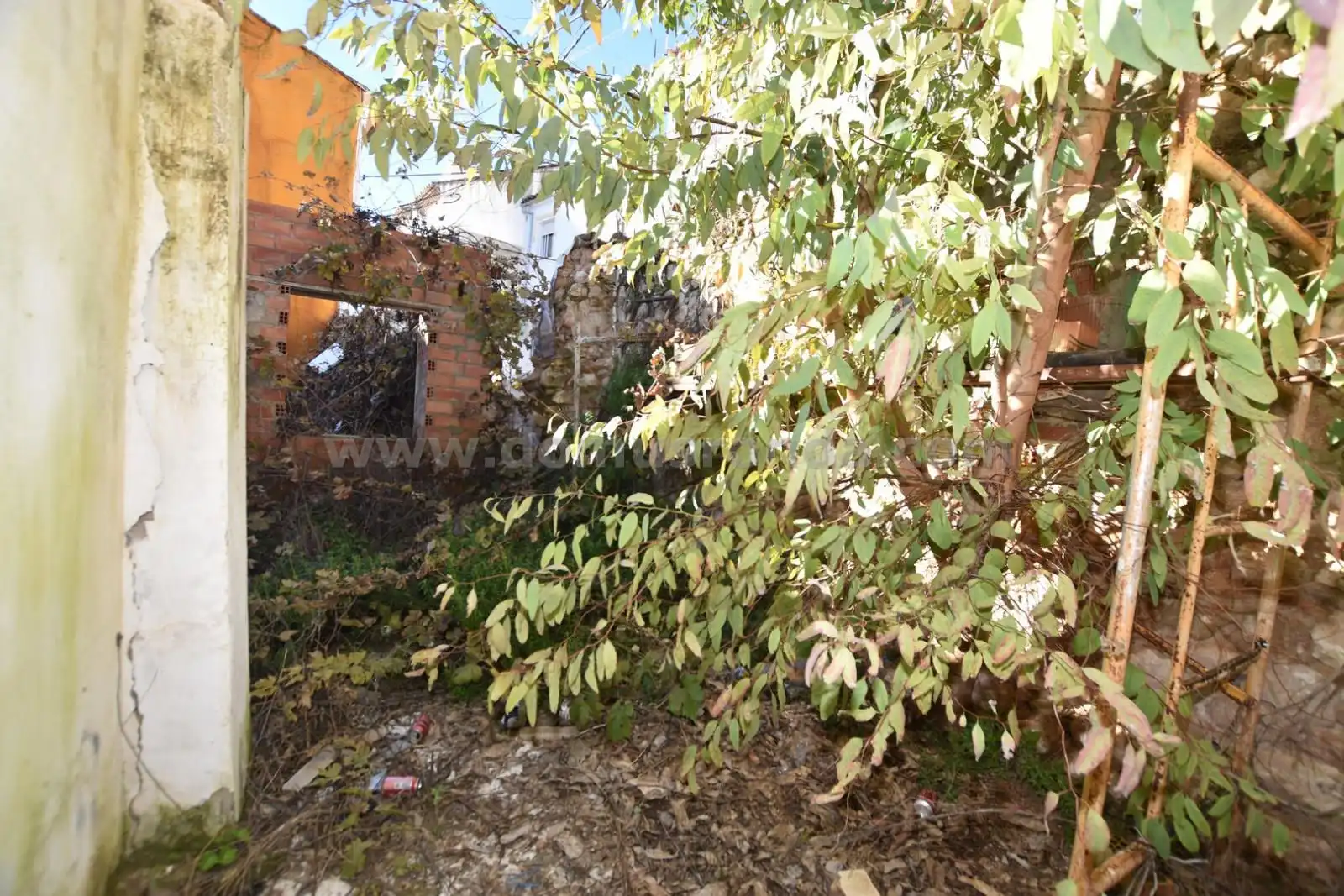 Casa en venda a Benaoján, imagen 9