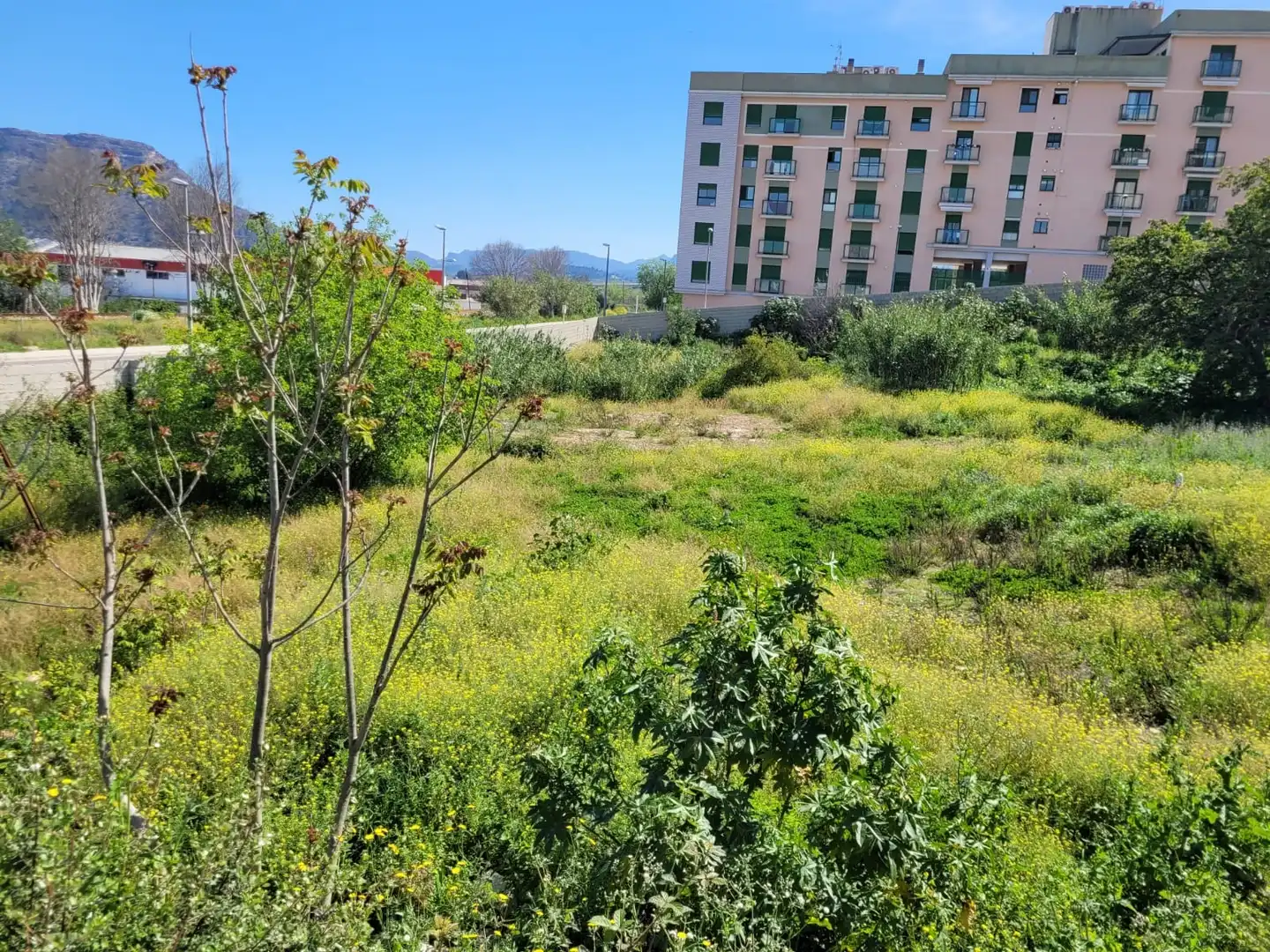 Terreny residencial en venda a Xàtiva, imagen 7