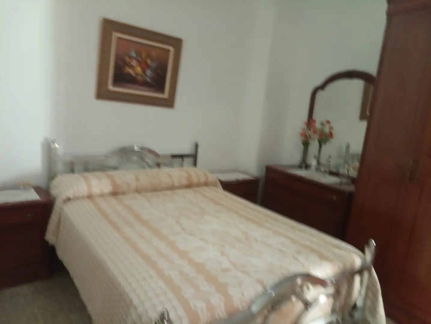 Country homes for sale in Almodóvar del Campo