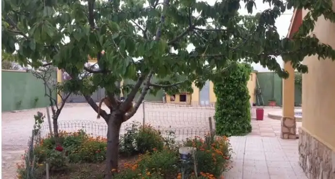 Jardín de Casa o chalet en venta en Albacete con Aire acondicionado, Calefacción y Jardín privado