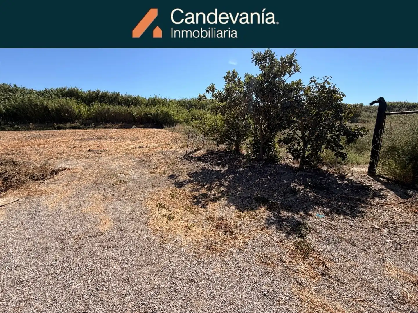 Rural land for sale in Zuera