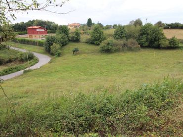 Terreny residencial en venda a Rural