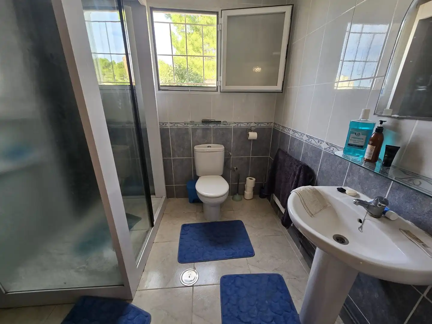 Baño de Casa o chalet en venta en Las Virtudes