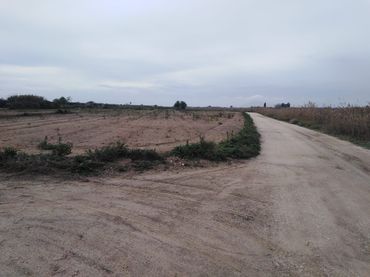 Terreno rustico in vendita a La Marina