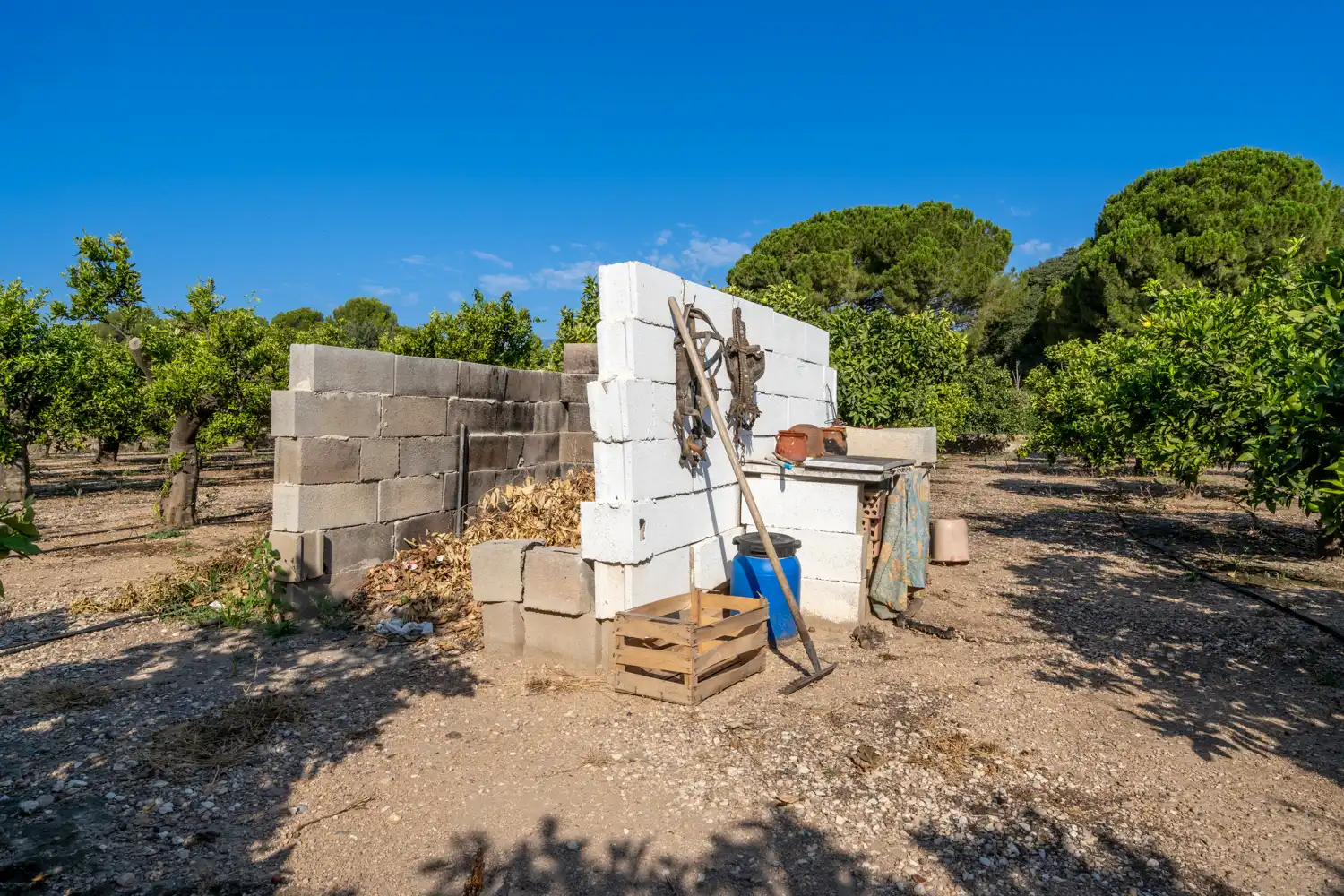 Terreno rustico in vendita a Passeig Manel Cid, imagen 18