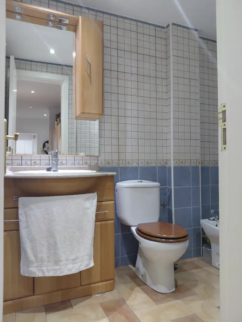 Bathroom of Flat for rent in Arucas  with Furnished, Oven and Washing machine