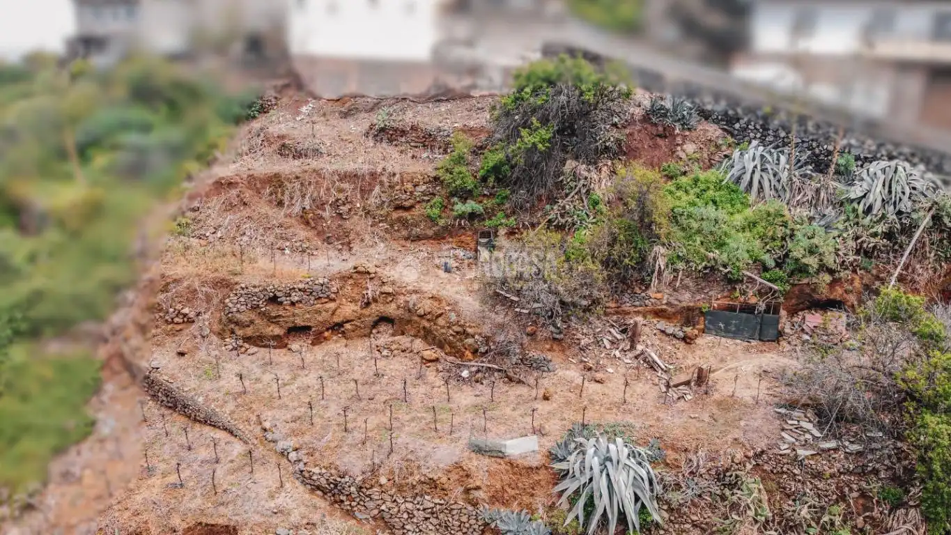 Terreno rústico en venta en La Vera - El Farrobillo - Tosca de Ana María, imagen 19