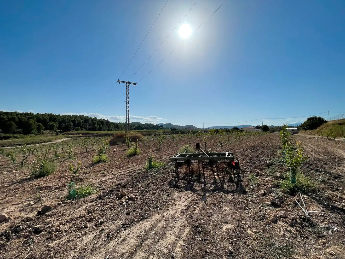 Terreno rustico in vendita a Cehegín, imagen 15