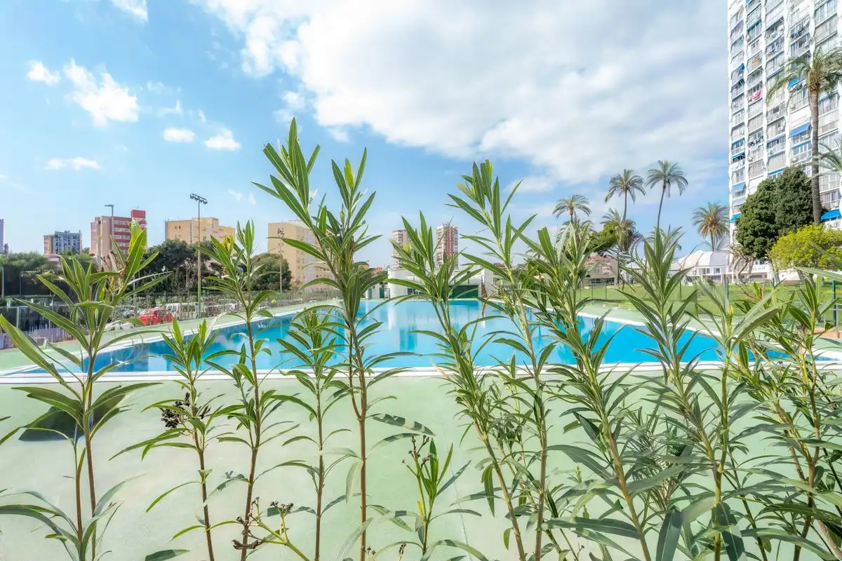 Ground floor with terrace for sale in Av. de Portugal, imagen 31