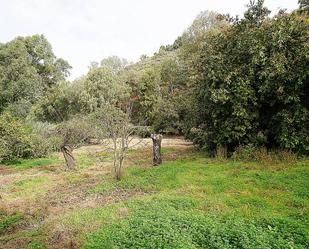 Finca rústica en venda en Teror amb Terrassa