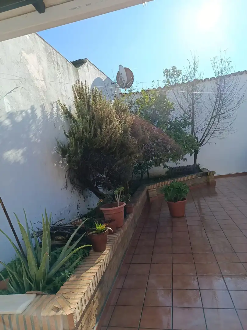 Jardí de Casa o xalet en venda en Rociana del Condado amb Aire condicionat