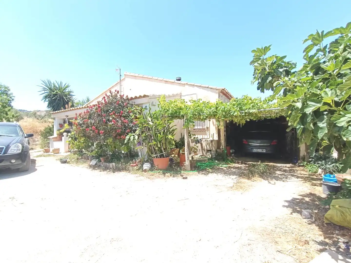 Vista exterior de Finca rústica en venta en Vélez-Blanco con Aire acondicionado, Jardín privado y Terraza