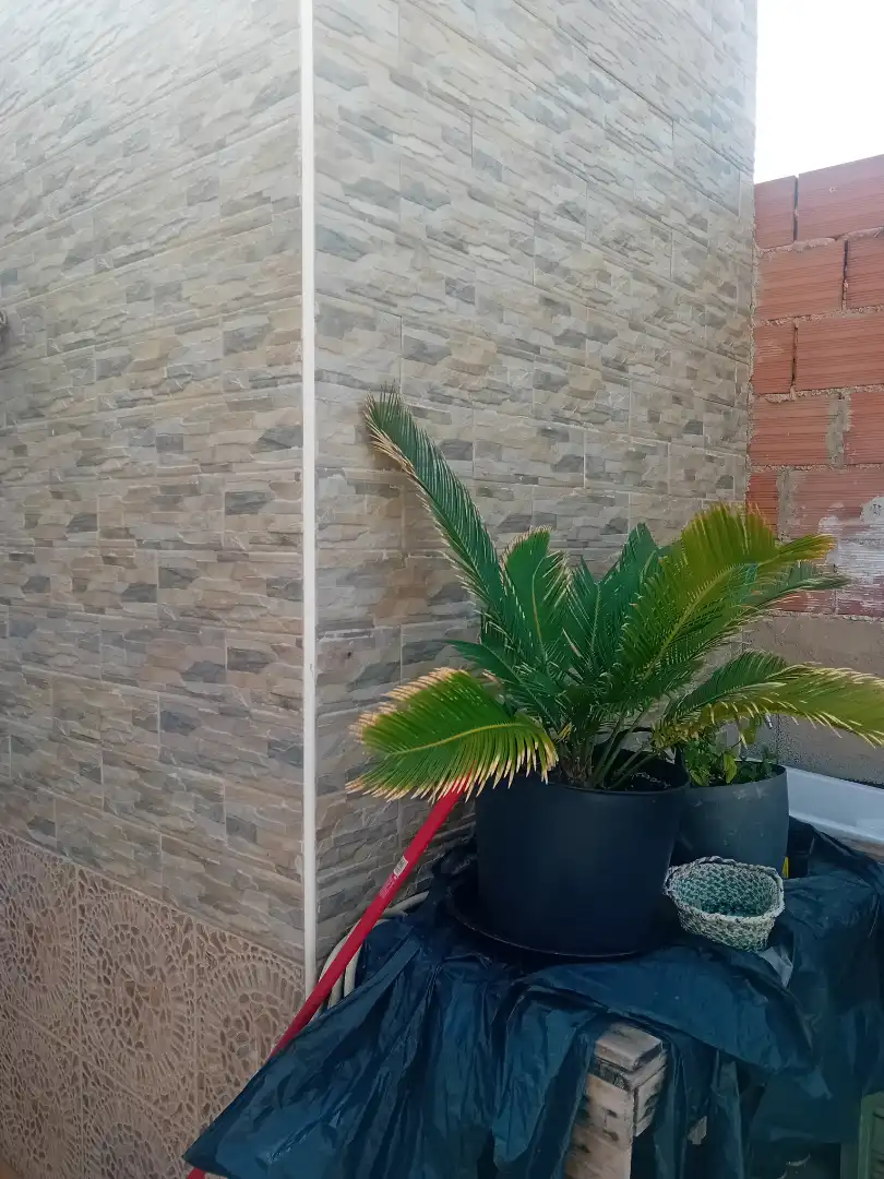 Terrassa de Casa o xalet en venda en Cartagena amb Terrassa i Moblat