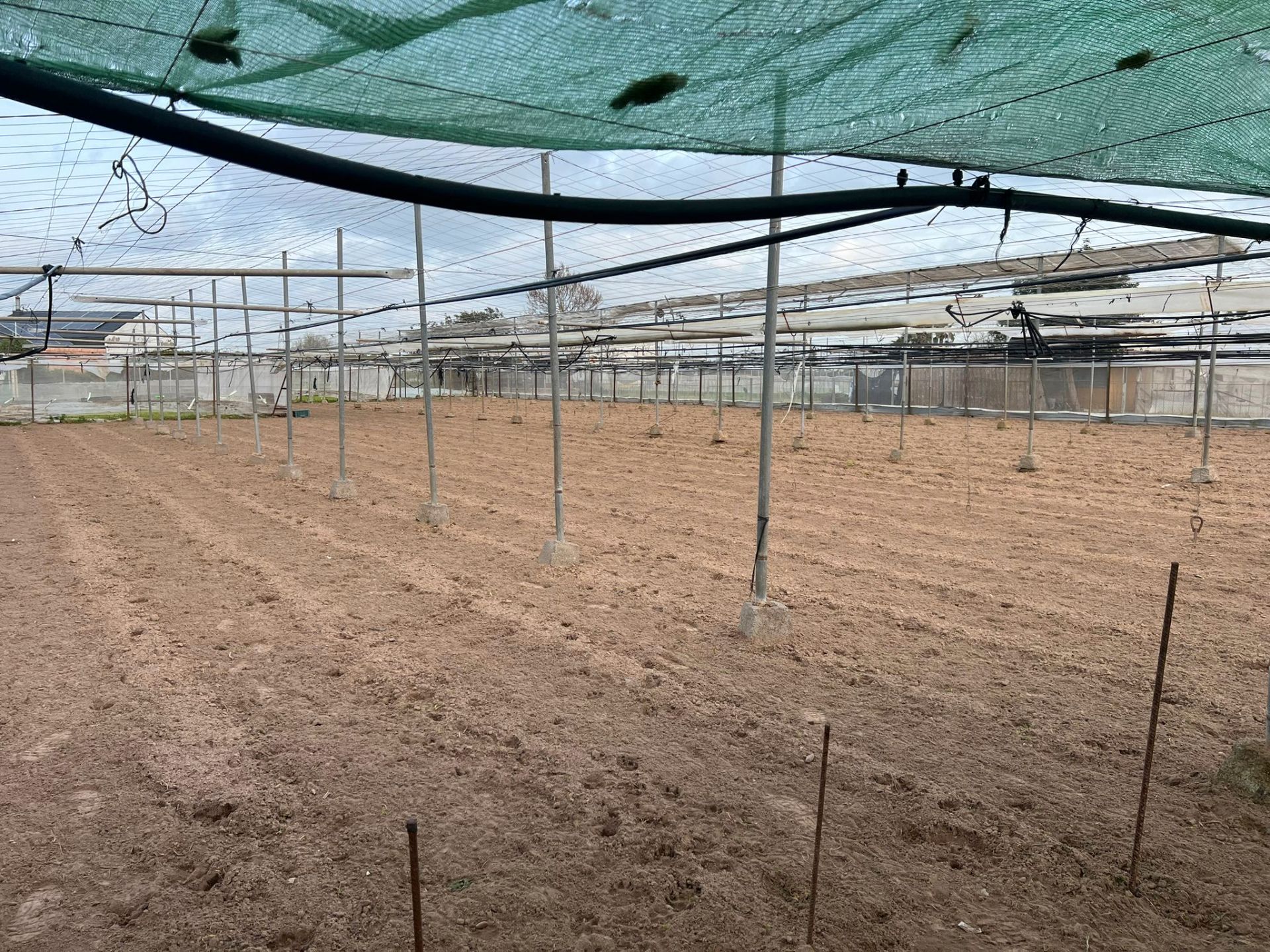 Land for sale in Los Palacios y Villafranca