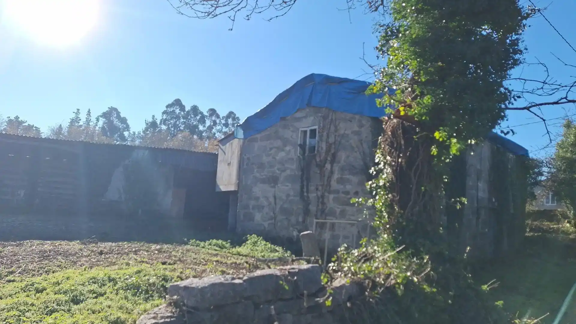 Vista exterior de Finca rústica en venta en Lugo