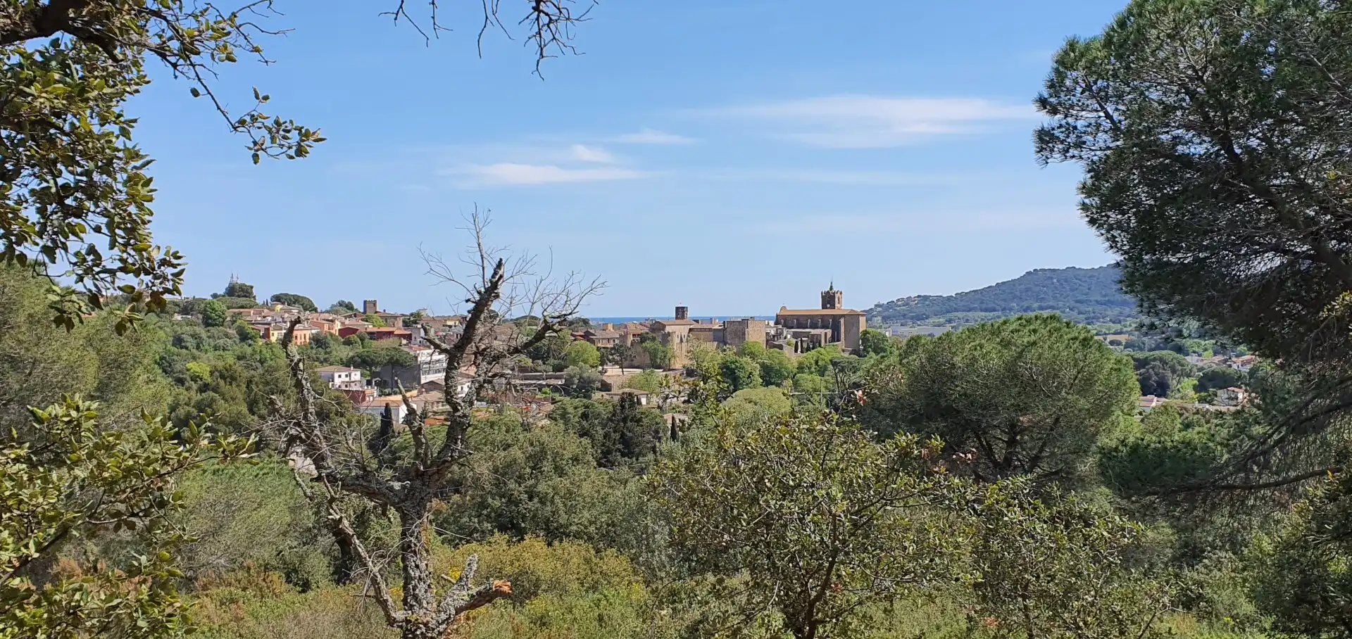 Lands and plots for sale in galligants