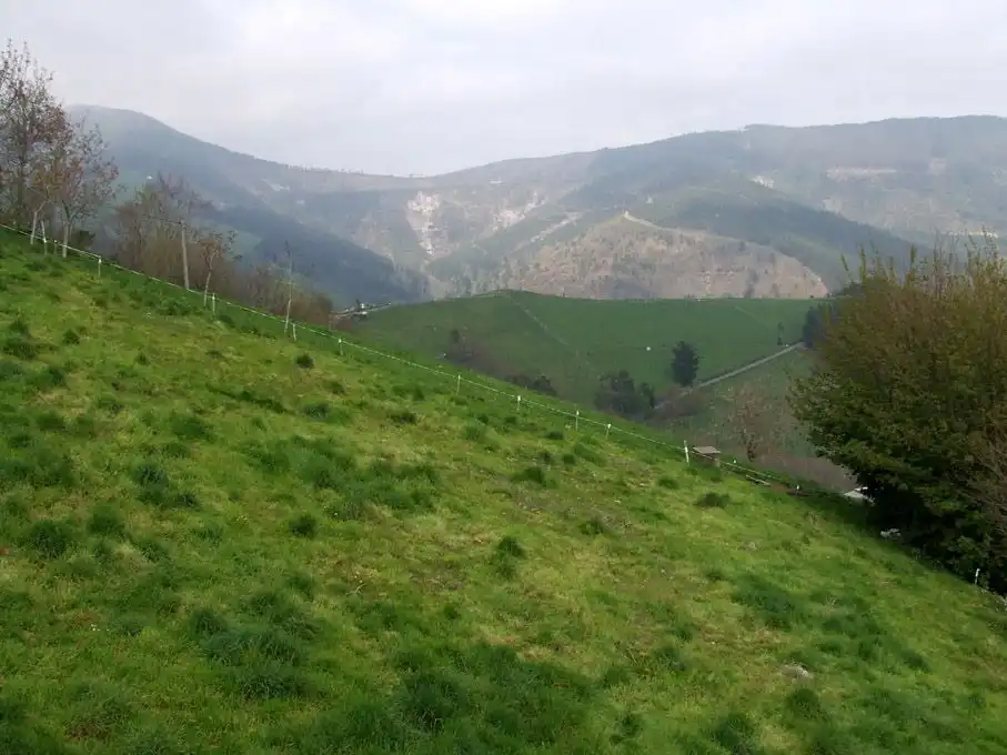 Haus zum Verkauf in Tineo, imagen 6