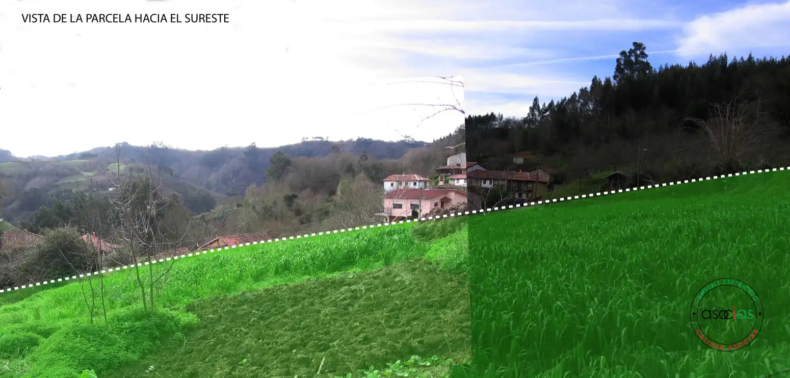 Terreno rustico in vendita a Cabranes - NIAO, imagen 4