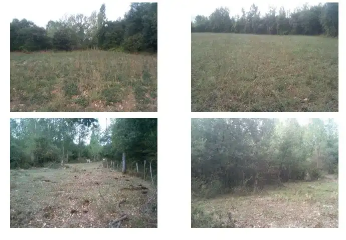 Rural land for sale in Medina de Pomar, imagen 6