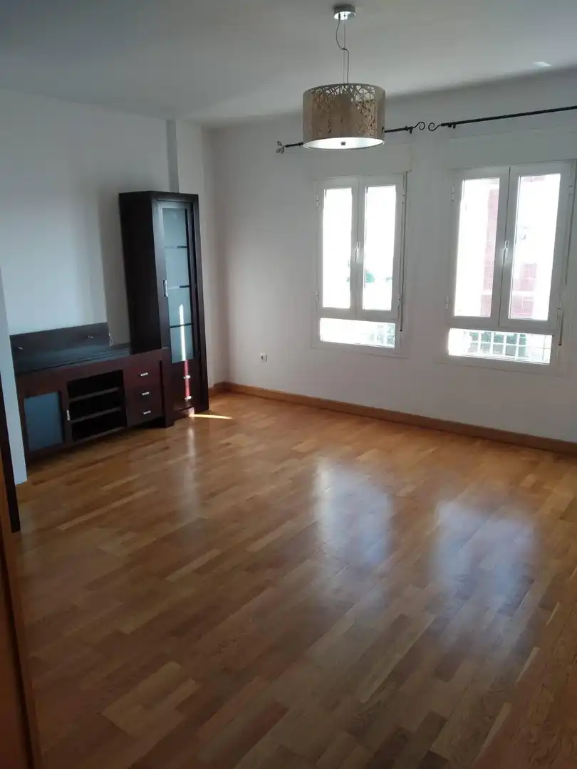 Sala d'estar de Pis en venda en San Fernando