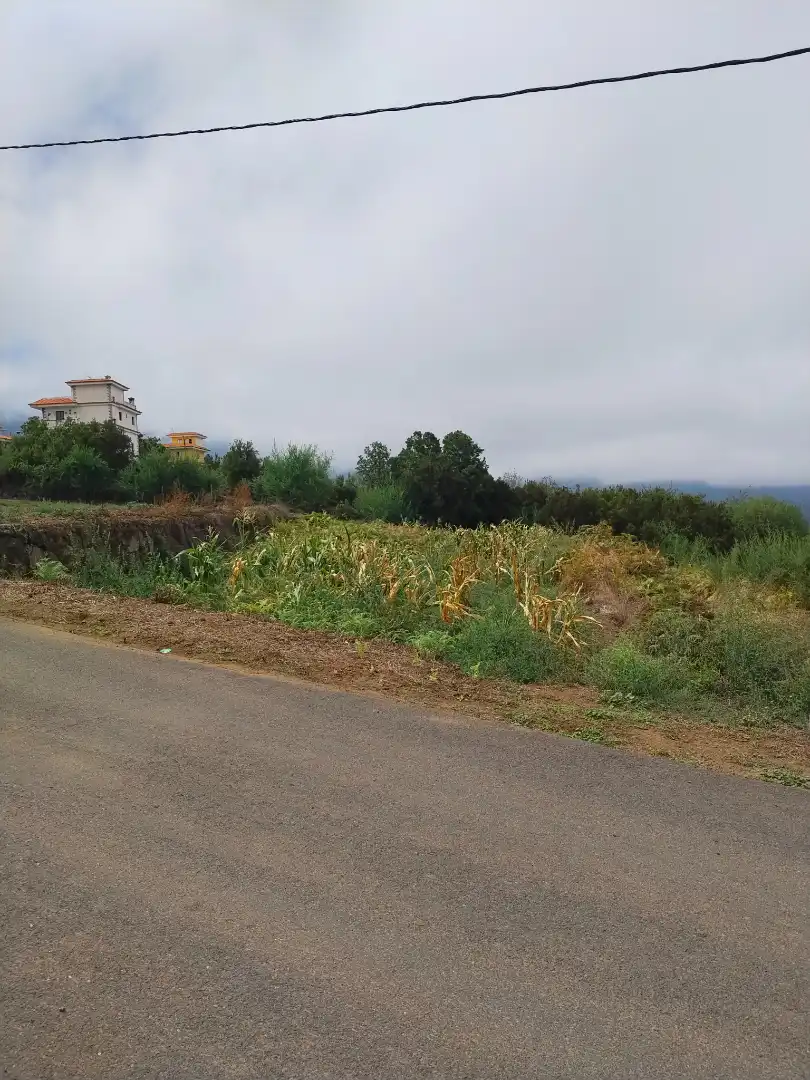 Terreny rústic en venda a La Perdoma - San Antonio - Benijos, imagen 35