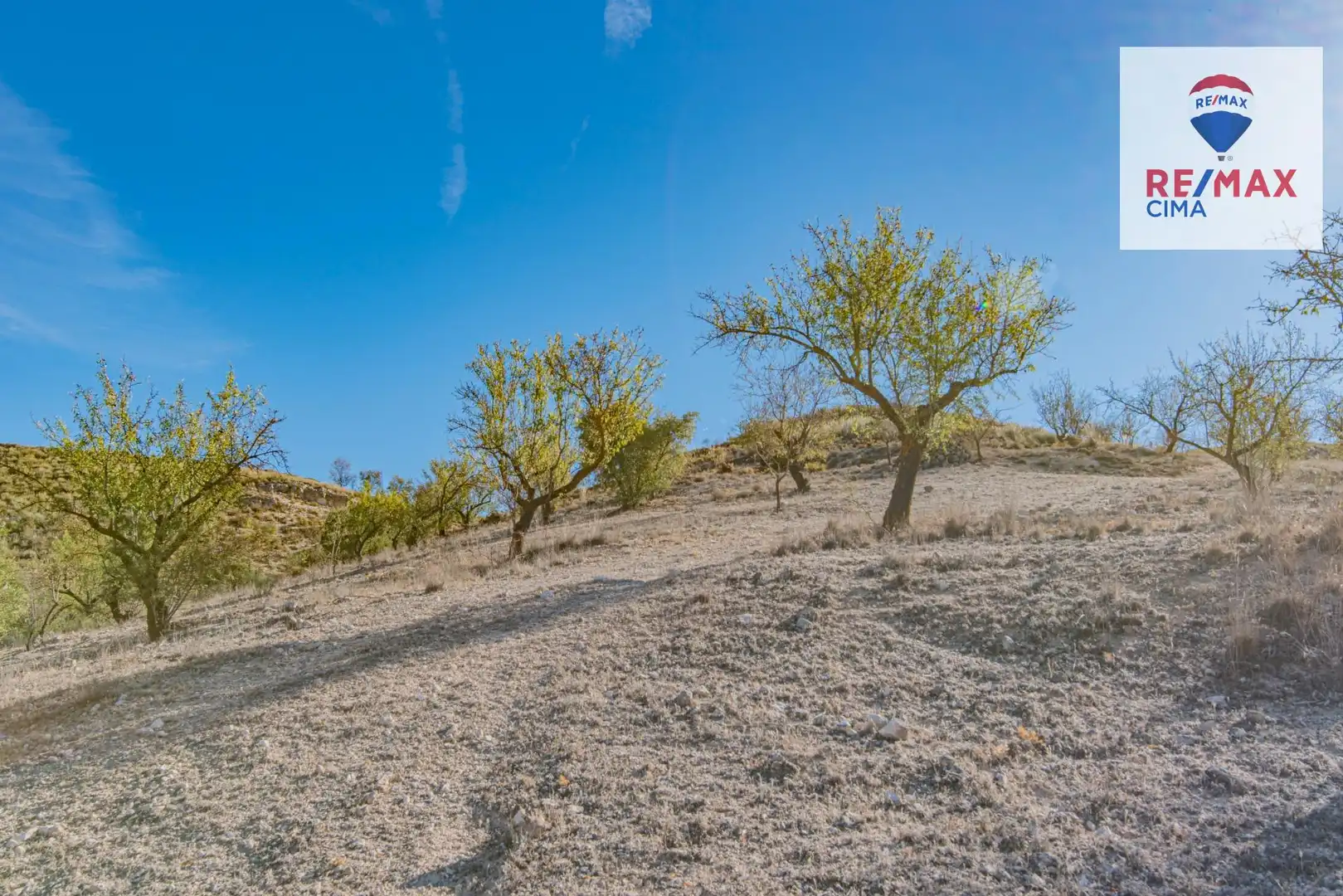 Terreno en venta en Santa Cruz del Comercio