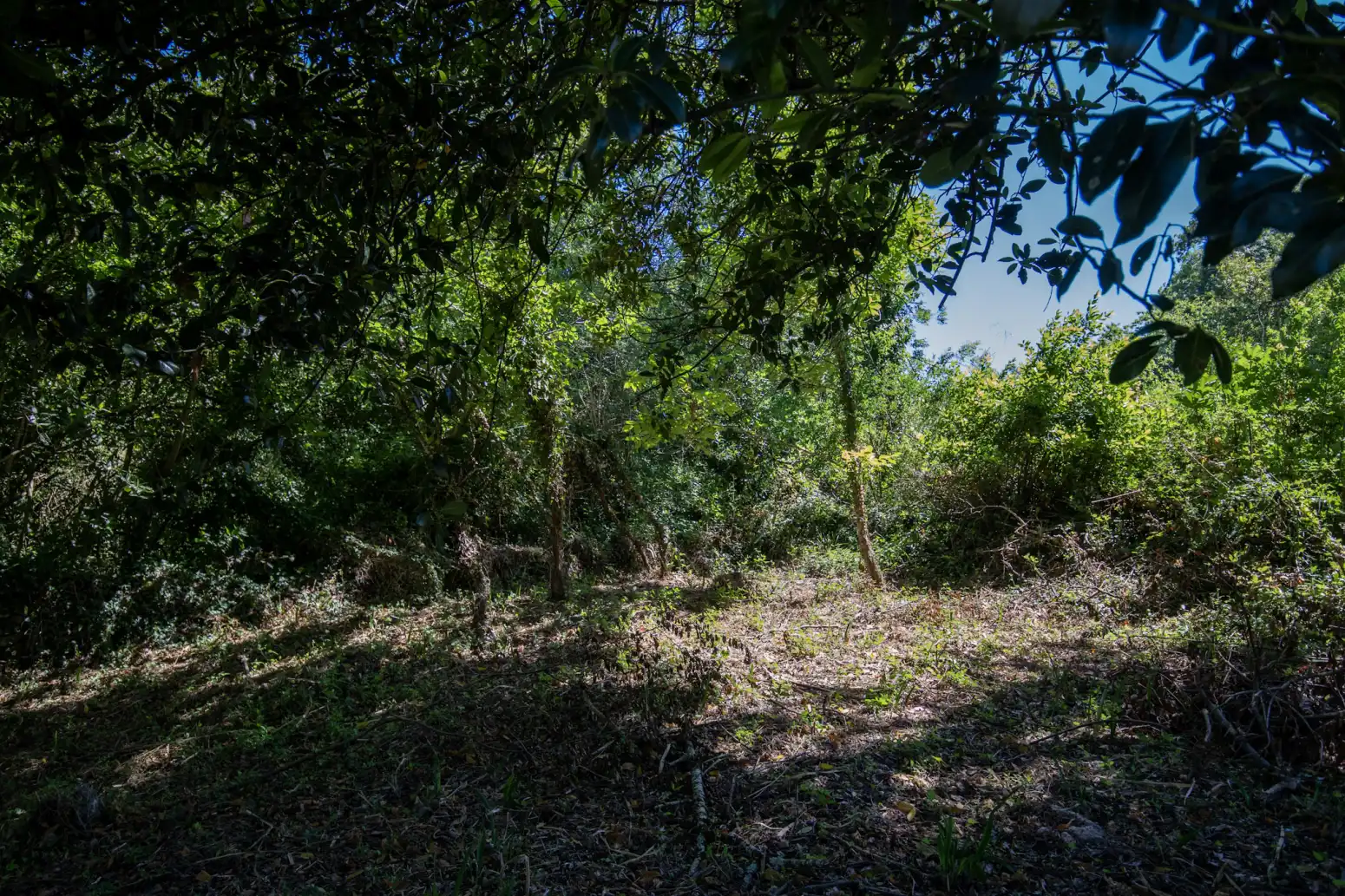Terreno en venta en Villaviciosa