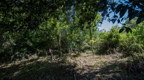 Foto 3 de Terreno en venta en Espina Selorio, Selorio - Tornón, Villaviciosa