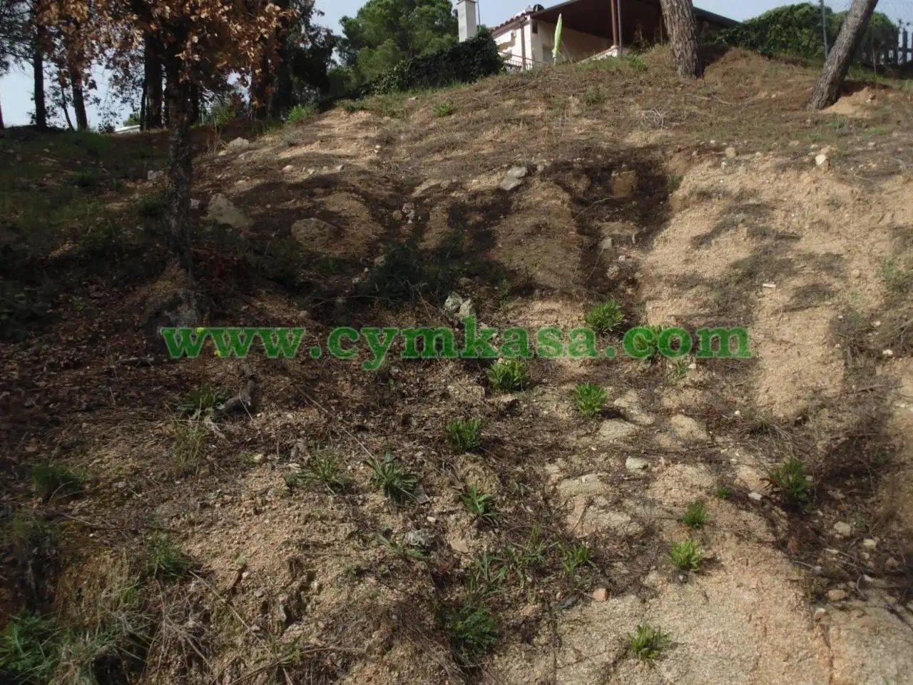 Terreno rustico in vendita a Mas Mora - Sant Daniel, imagen 4