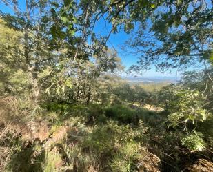 Grundstücke zum verkauf in Valverde de la Vera