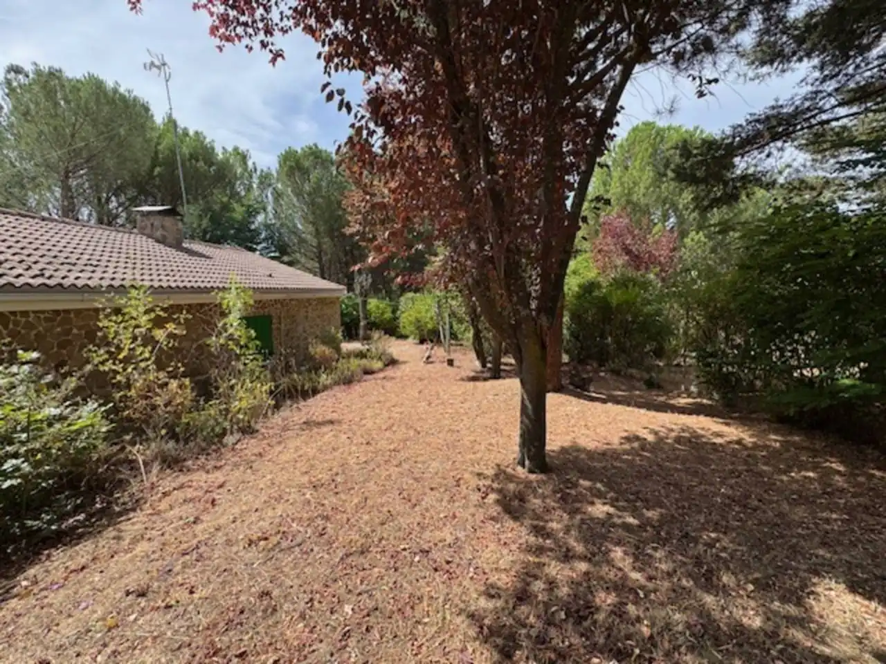 Jardín de Casa o chalet en venta en Villavieja del Lozoya con Calefacción, Terraza y Piscina