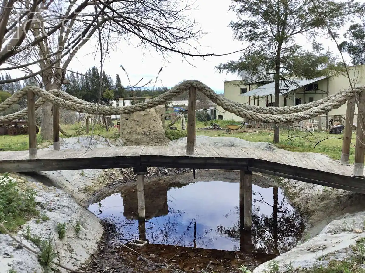 Casa rústica con piscina en venta en Almonte ciudad, imagen 5