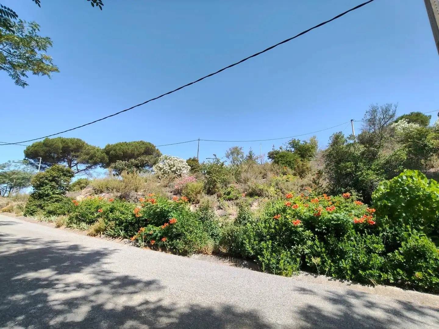 Terreni e lotti in vendita a Vilanova del Vallès