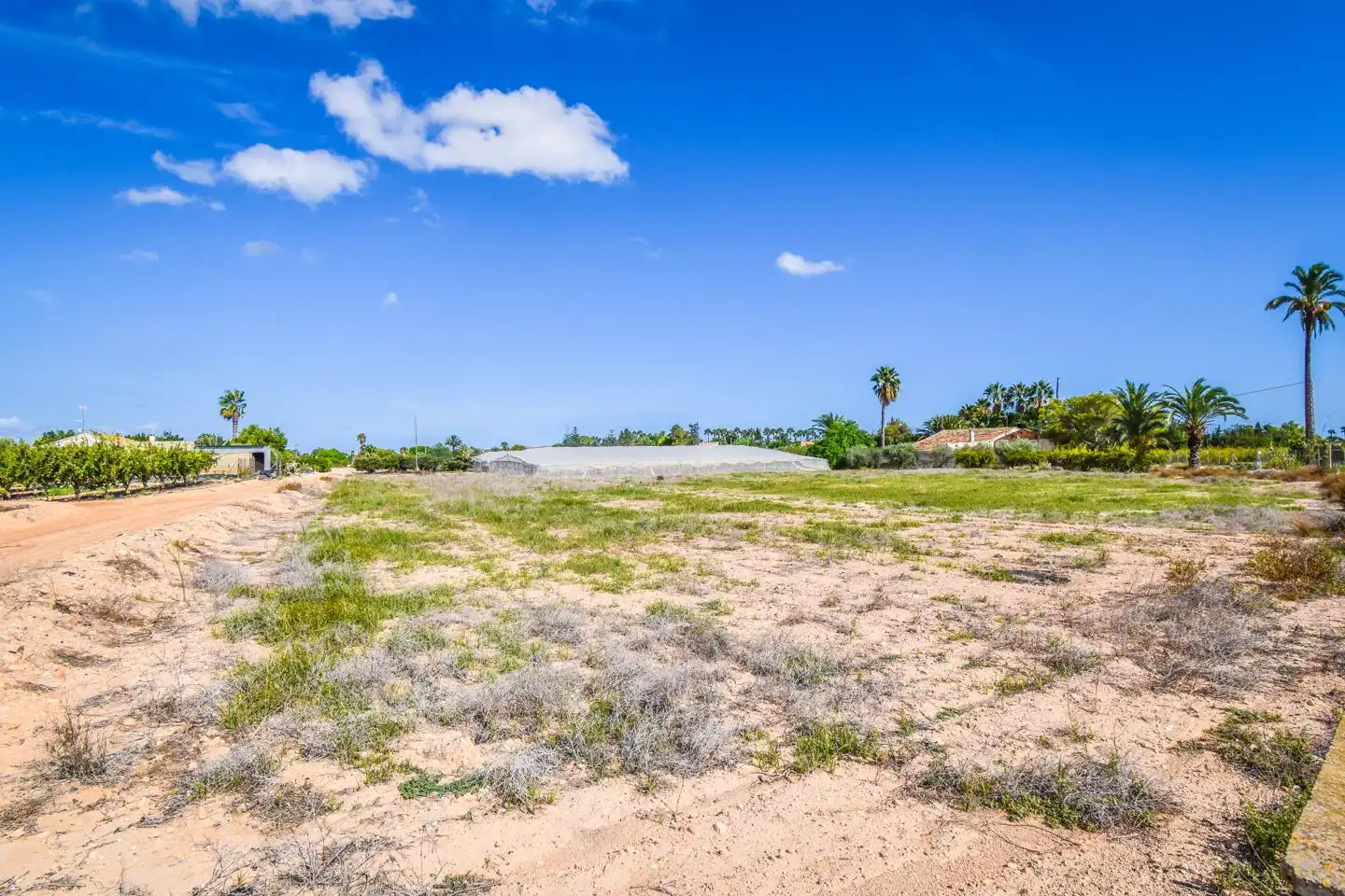 Terrain rustique à vendre à Elx - Santa Pola, imagen 3