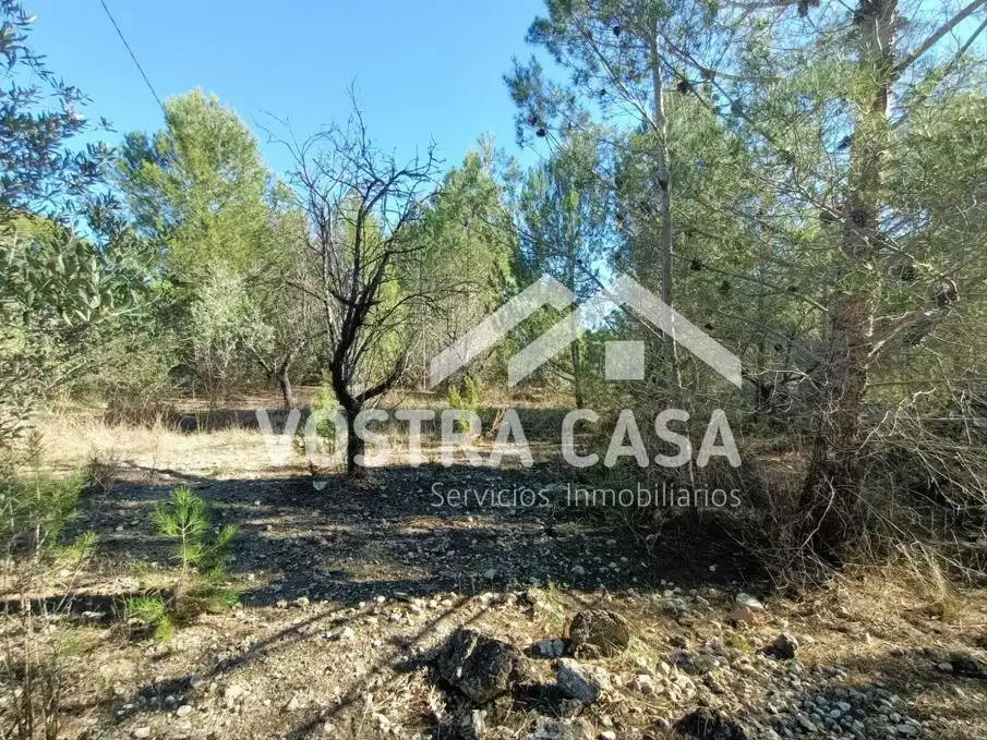 Terreno rustico in vendita a CAMINO DE LOS FELIPES, imagen 6