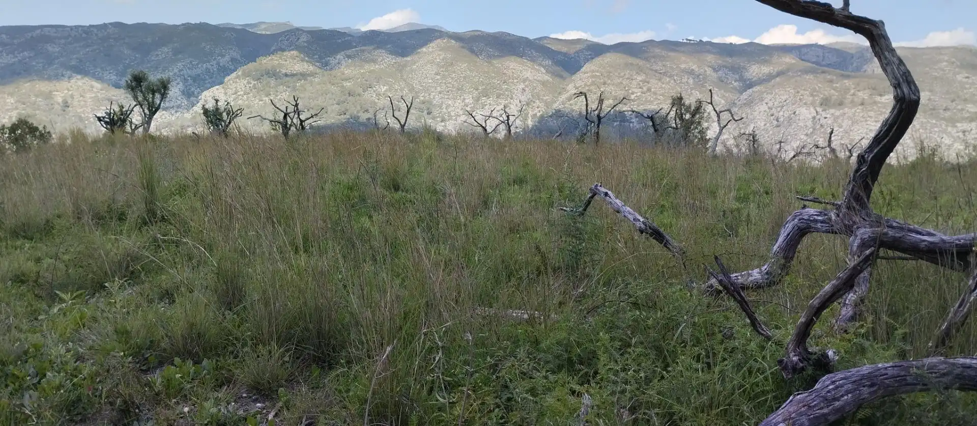 Terreny rústic en venda a La Vall de Gallinera, imagen 5