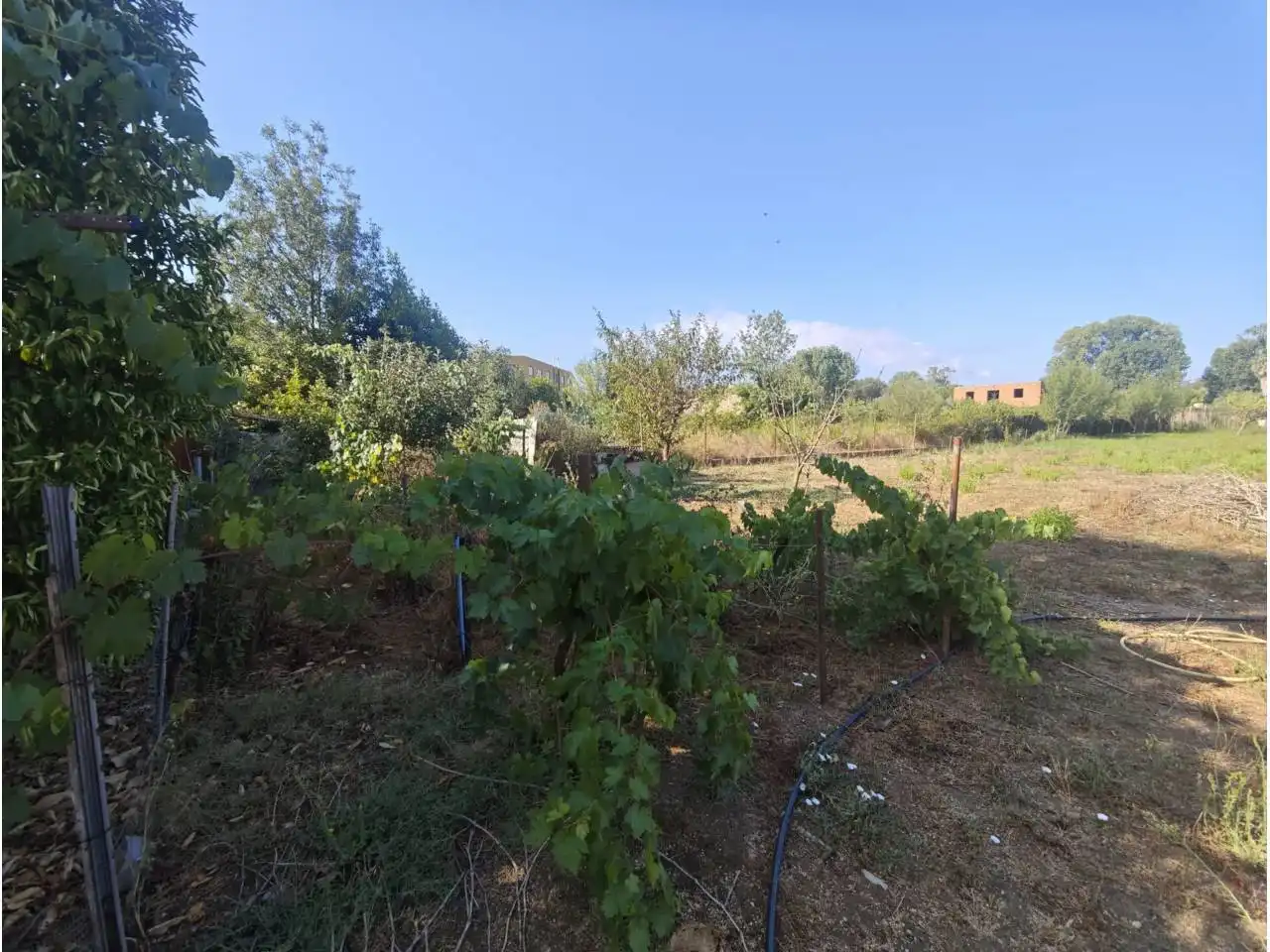 Grundstücke zum Verkauf in Blanes