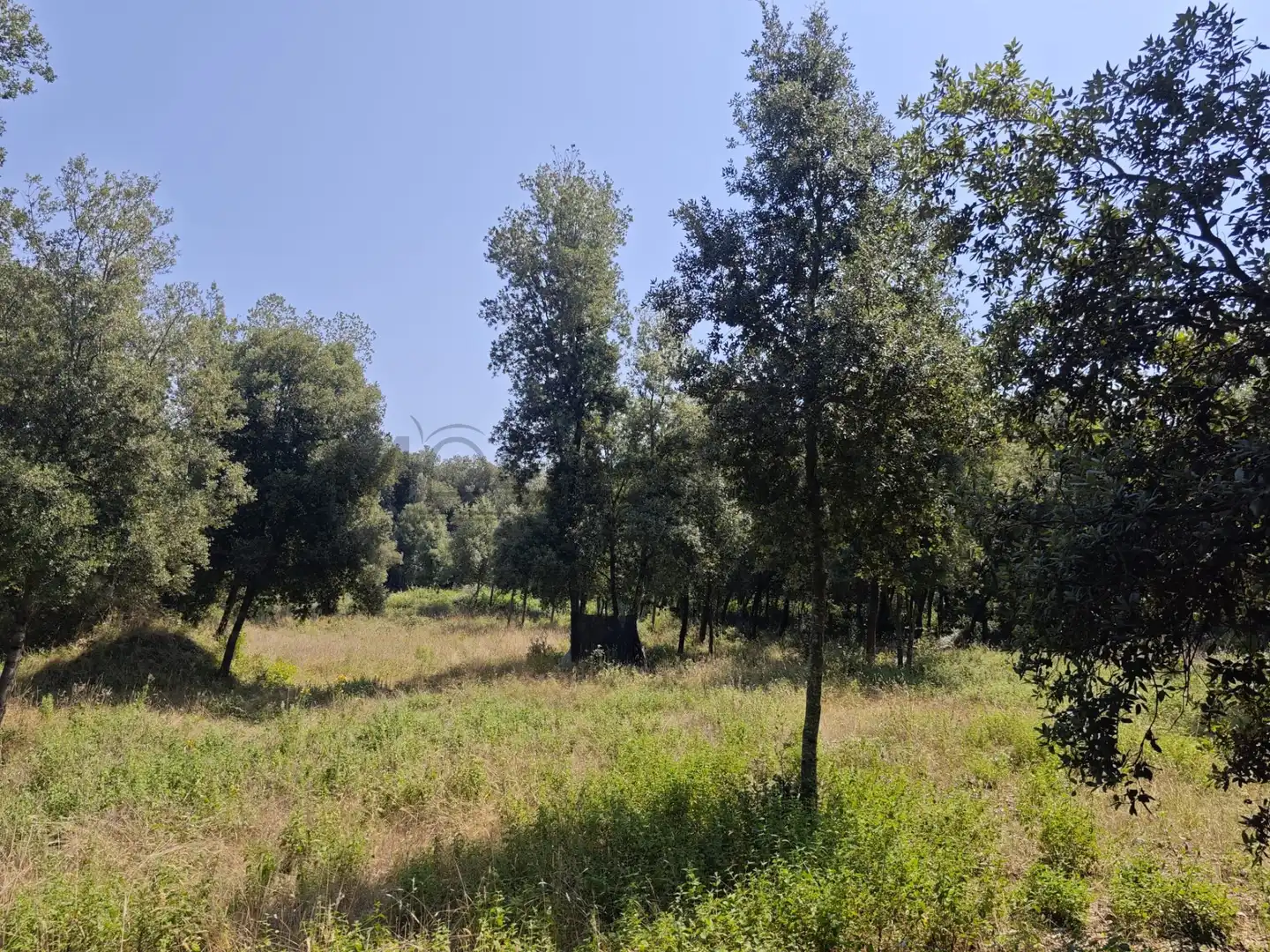 Terrenys i solars en venda a DE SALVADOR ESPRIU, imagen 5