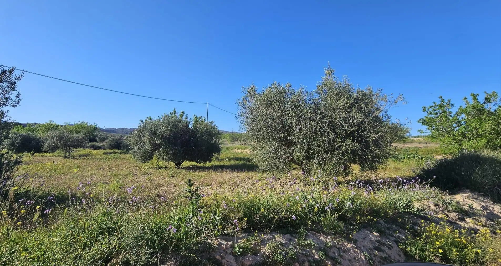 Rural land for sale in Camino PARAJE LOS GARCIAS