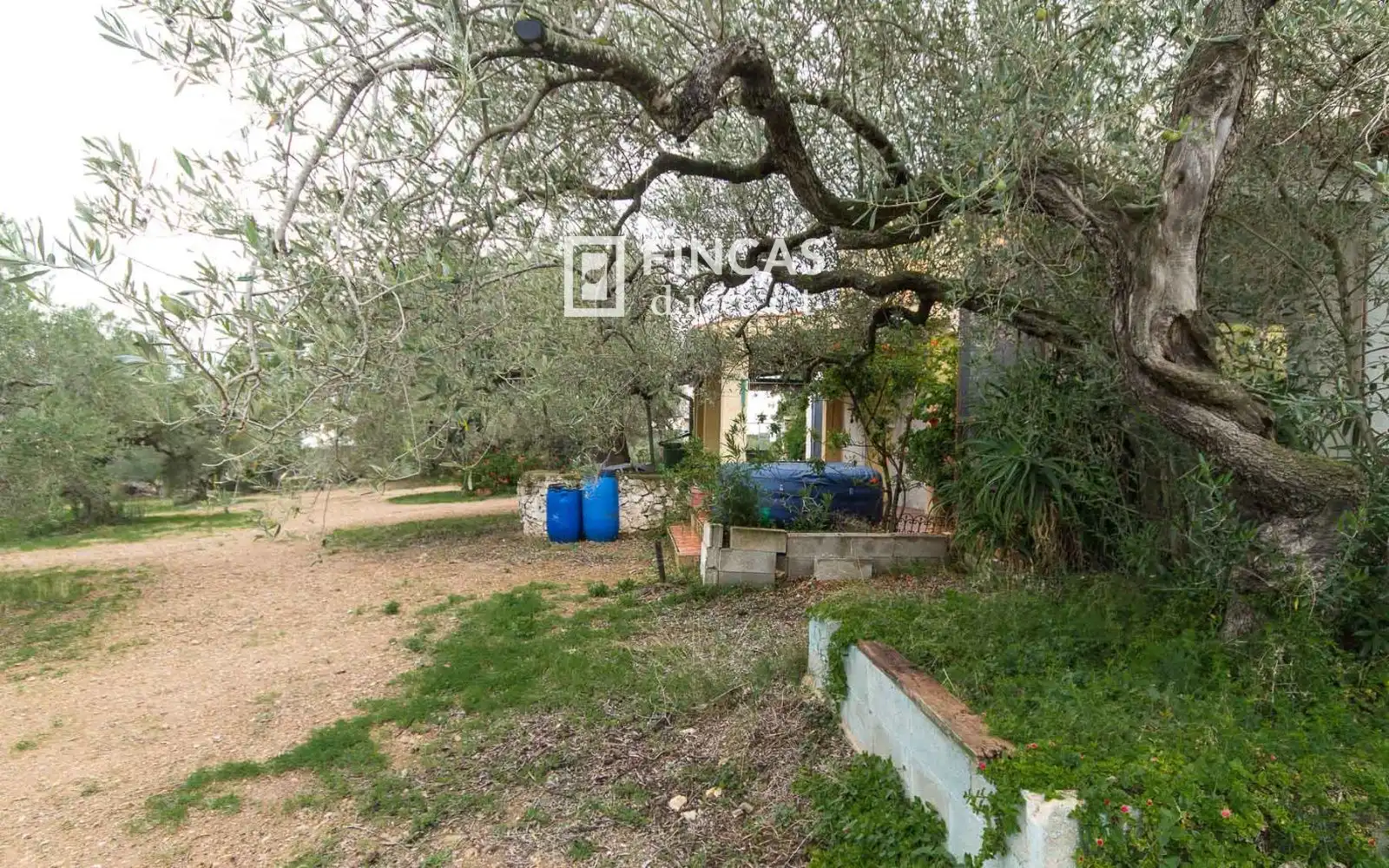 Casa rustica in vendita a RJHQ+43, imagen 26