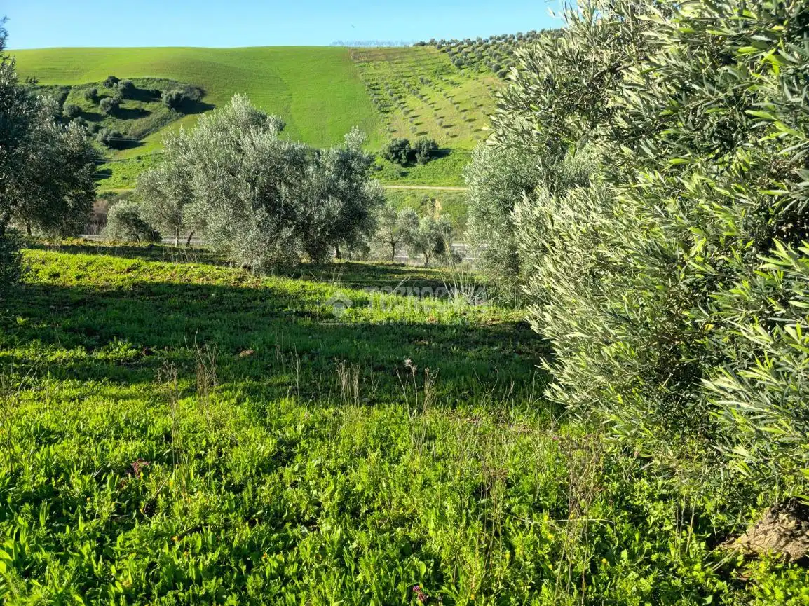 Terreno en venta en El Coronil